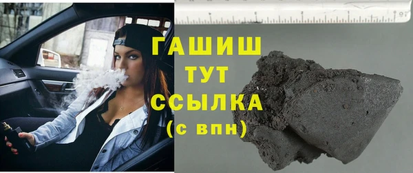 гашик Краснослободск