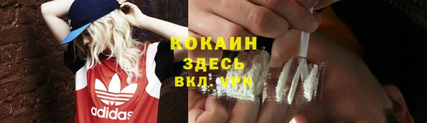 гашик Краснослободск