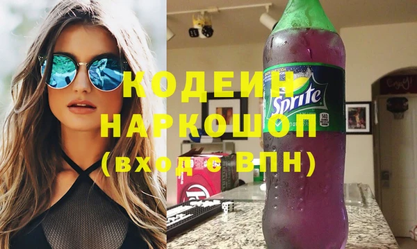 гашик Краснослободск