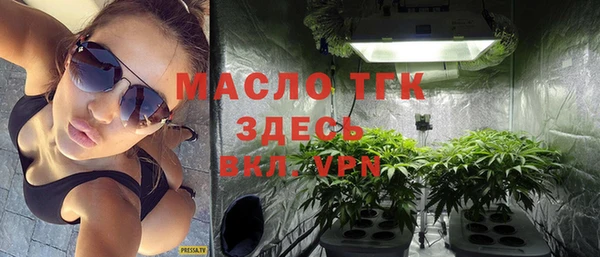 гашик Краснослободск