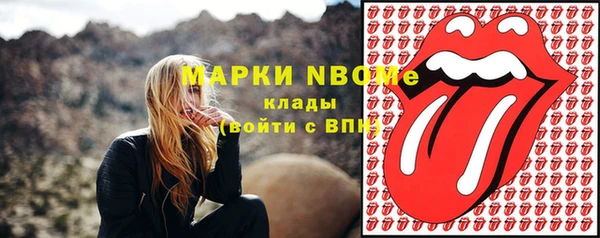 гашик Краснослободск