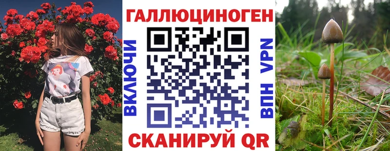 Купить закладки  Павлово  Псилоцибиновые грибы Cubensis 